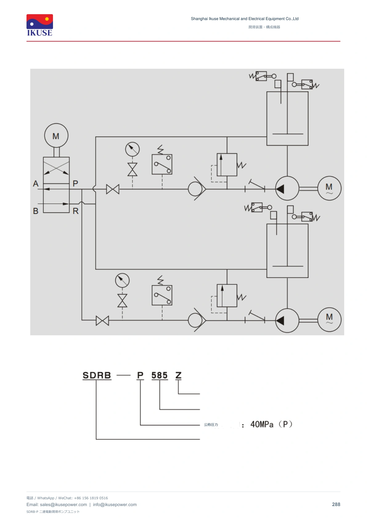 IKUSE SDRB-P 二連電動潤滑ポンプユニット画像4