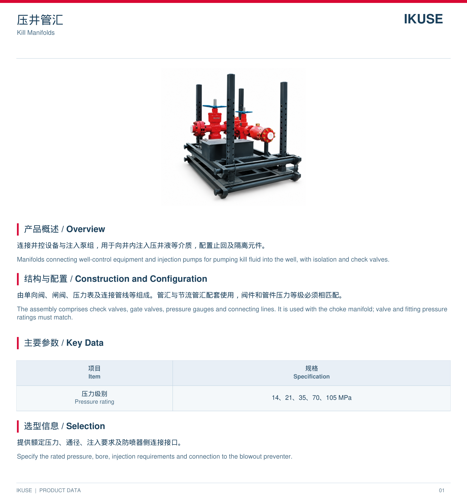 IKUSE 压井管汇图2