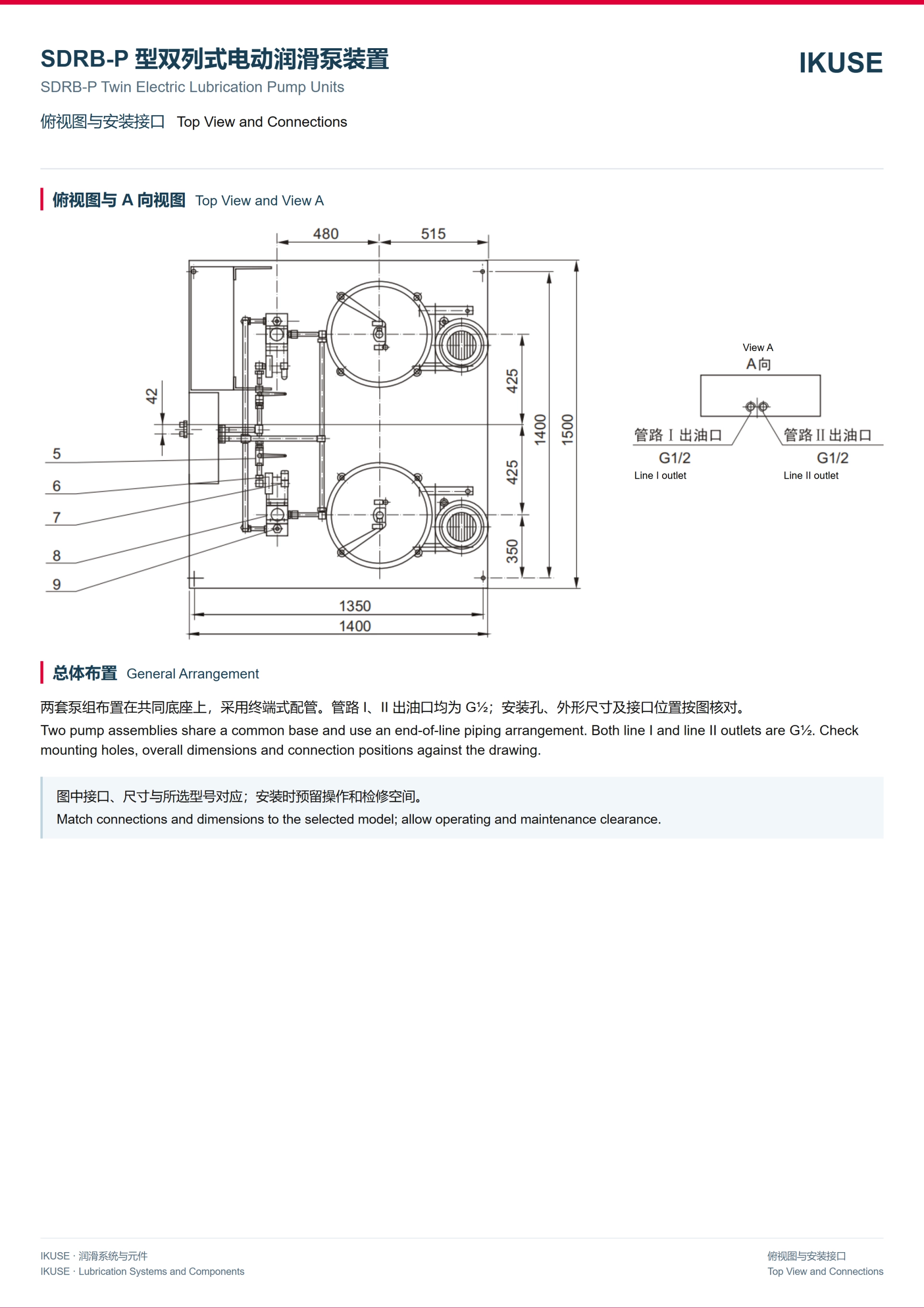 IKUSE SDRB-P 型双列式电动润滑泵装置图3