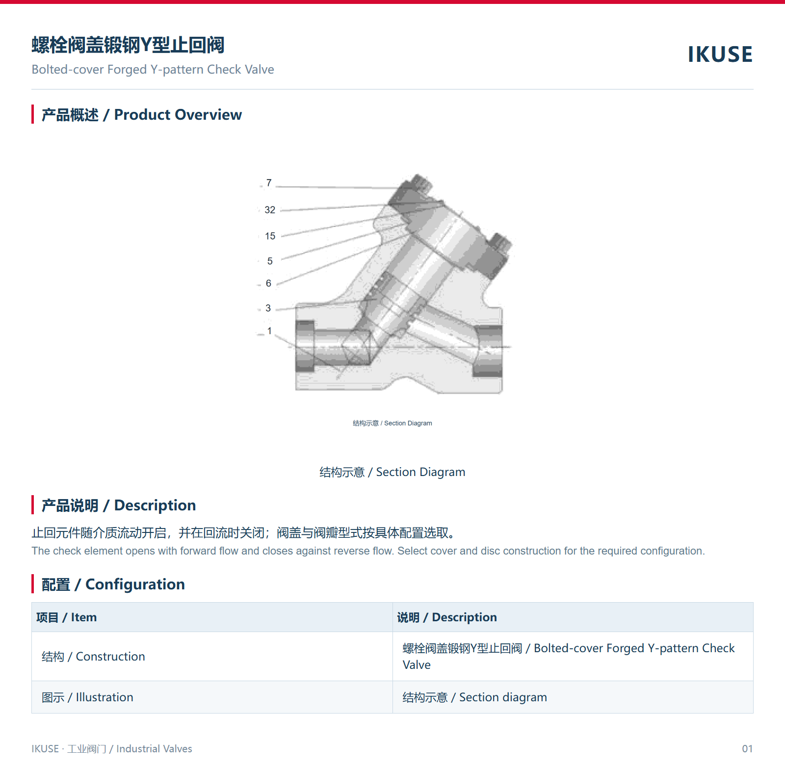 IKUSE 螺栓阀盖锻钢Y型止回阀图2