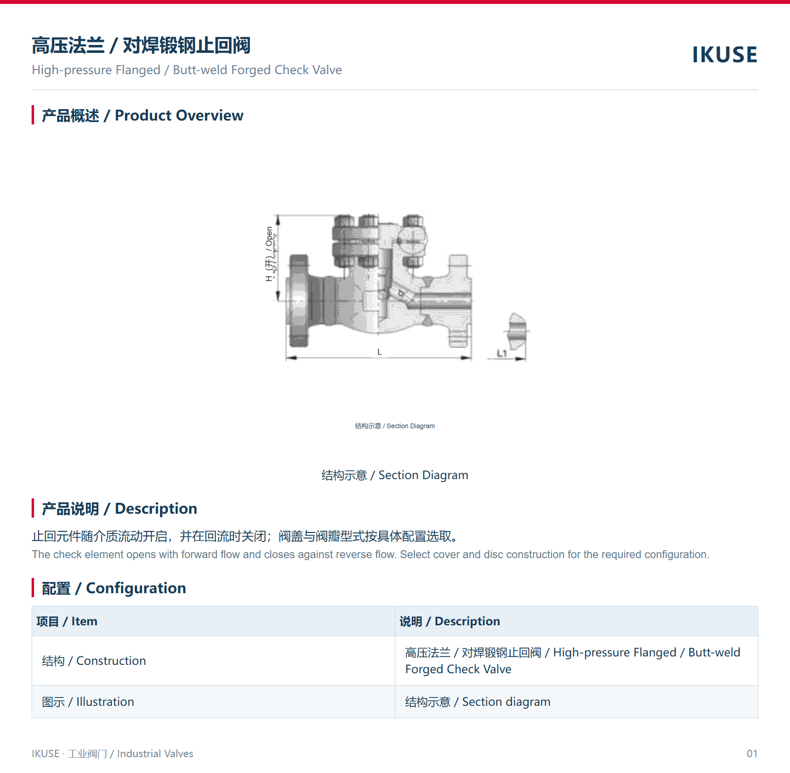 IKUSE 高压法兰／对焊锻钢止回阀图2