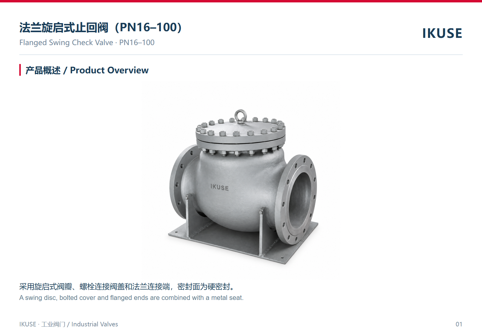 IKUSE 法兰旋启式止回阀（PN16–100）图2