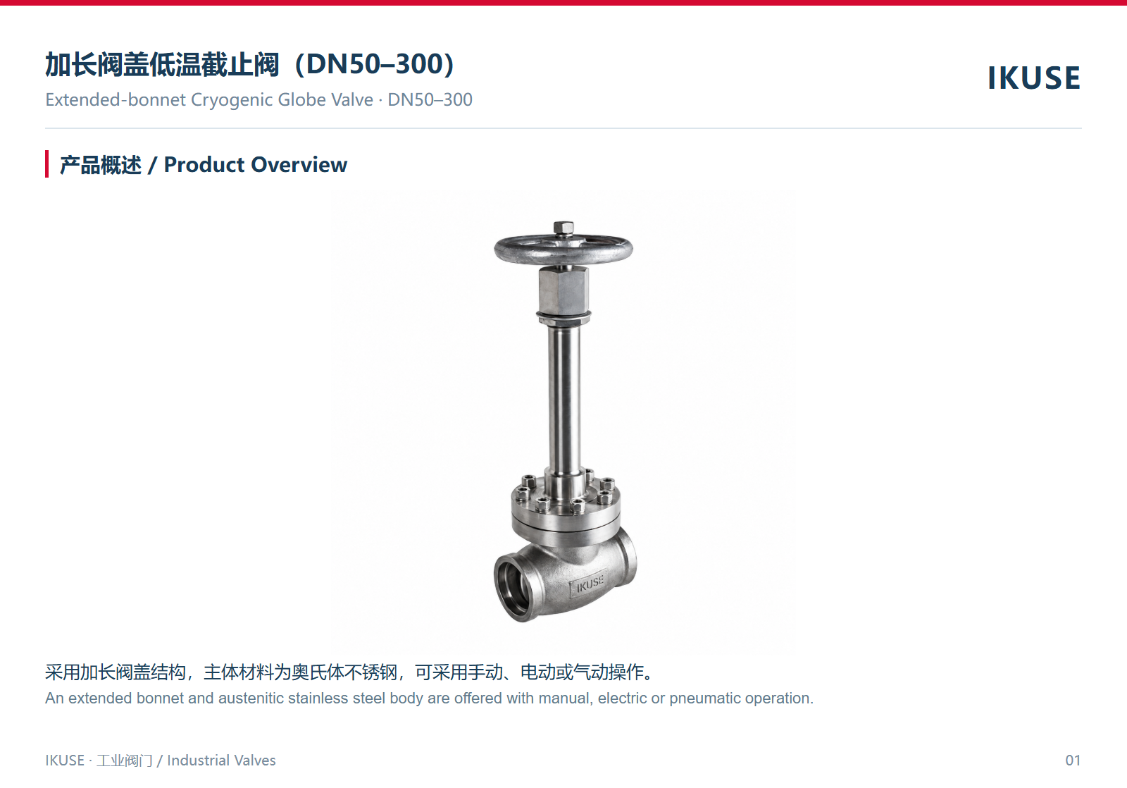IKUSE 加长阀盖低温截止阀（DN50–300）图2