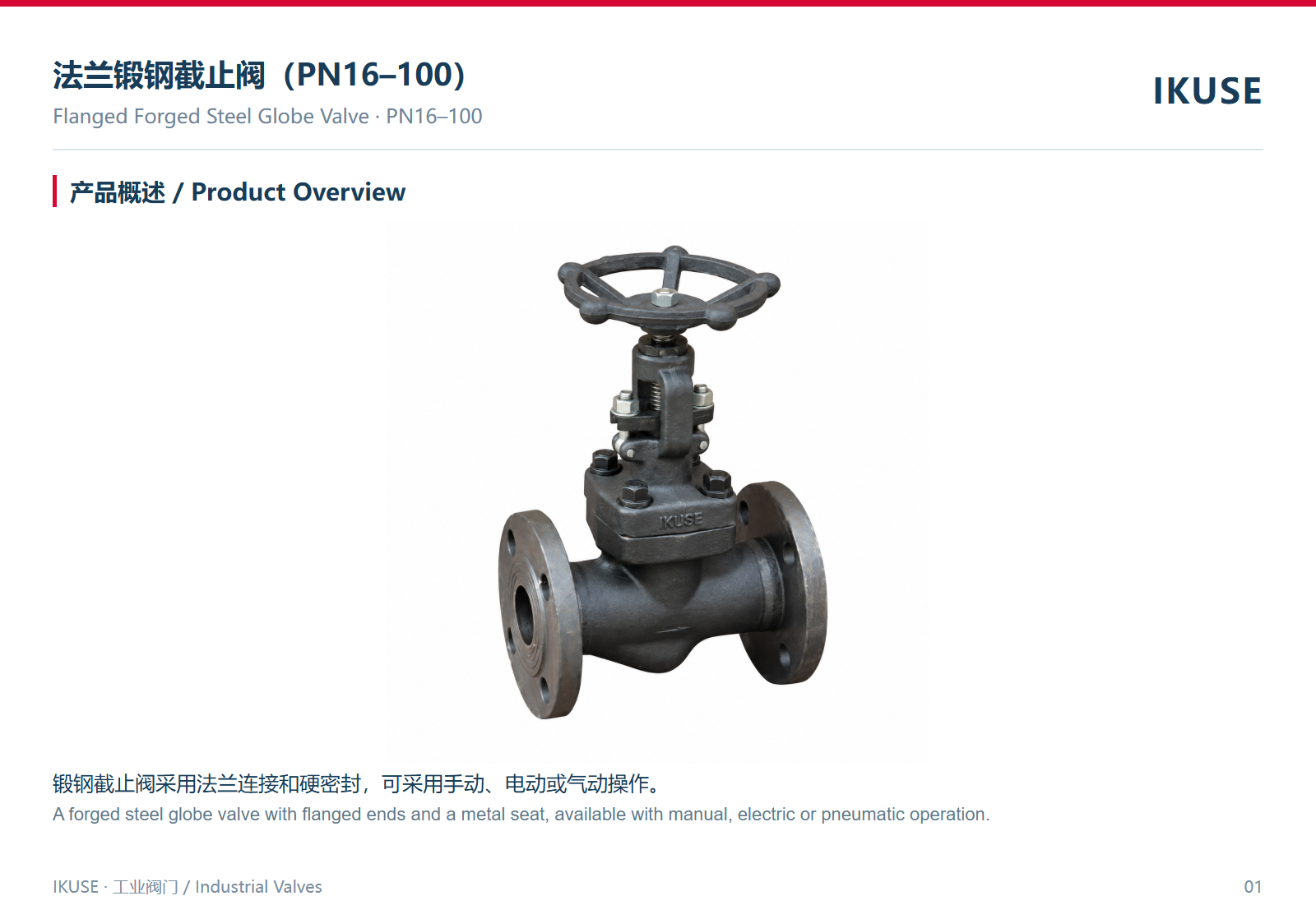 IKUSE 法兰锻钢截止阀（PN16–100）图2