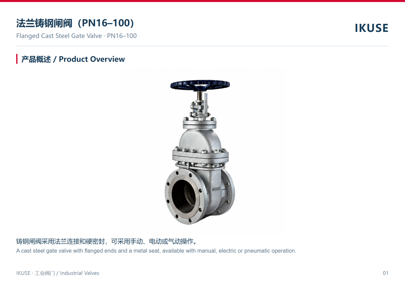 IKUSE 法兰铸钢闸阀（PN16–100）图2