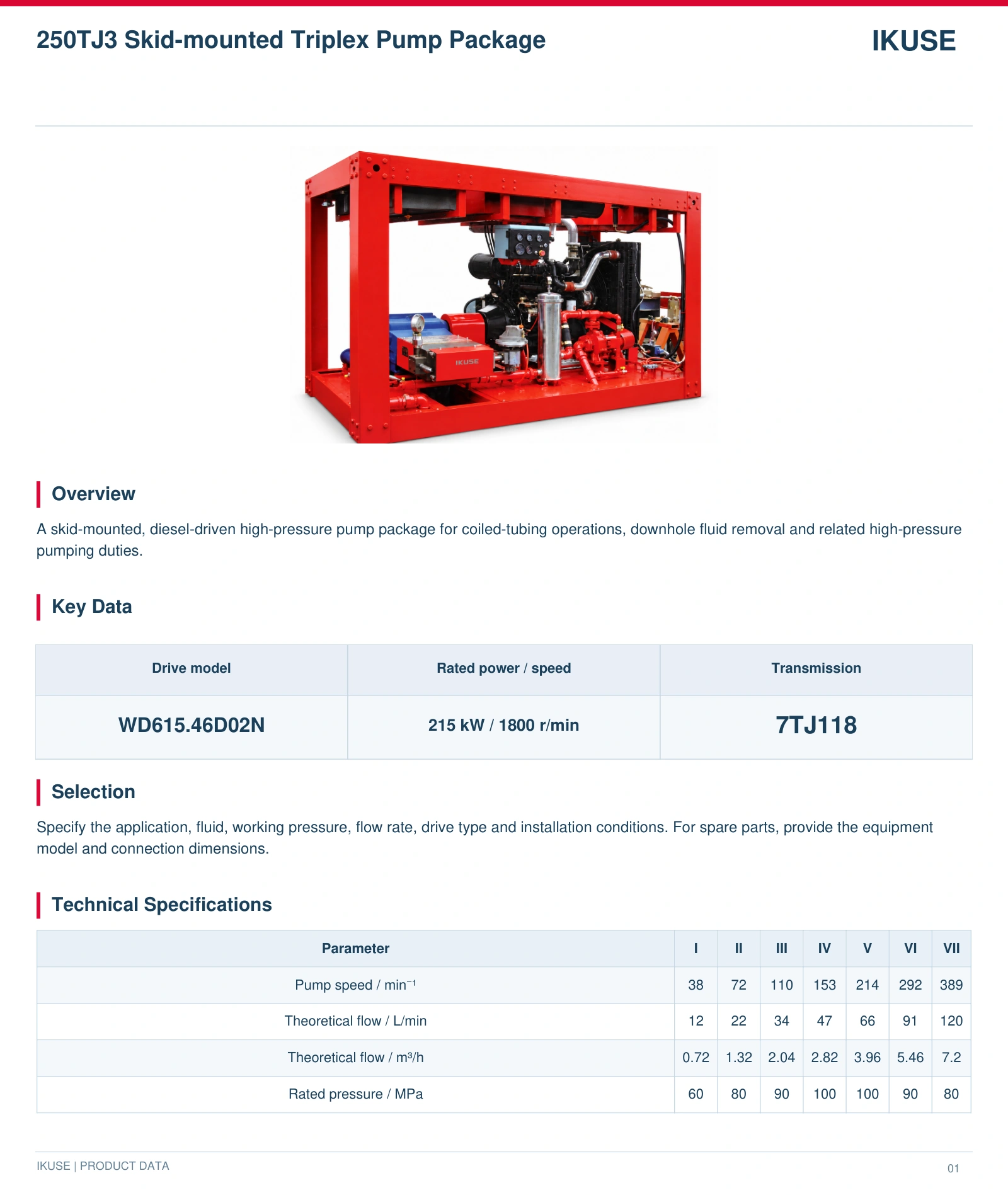 IKUSE 250TJ3 Skid-mounted Triplex Pump Package image 2