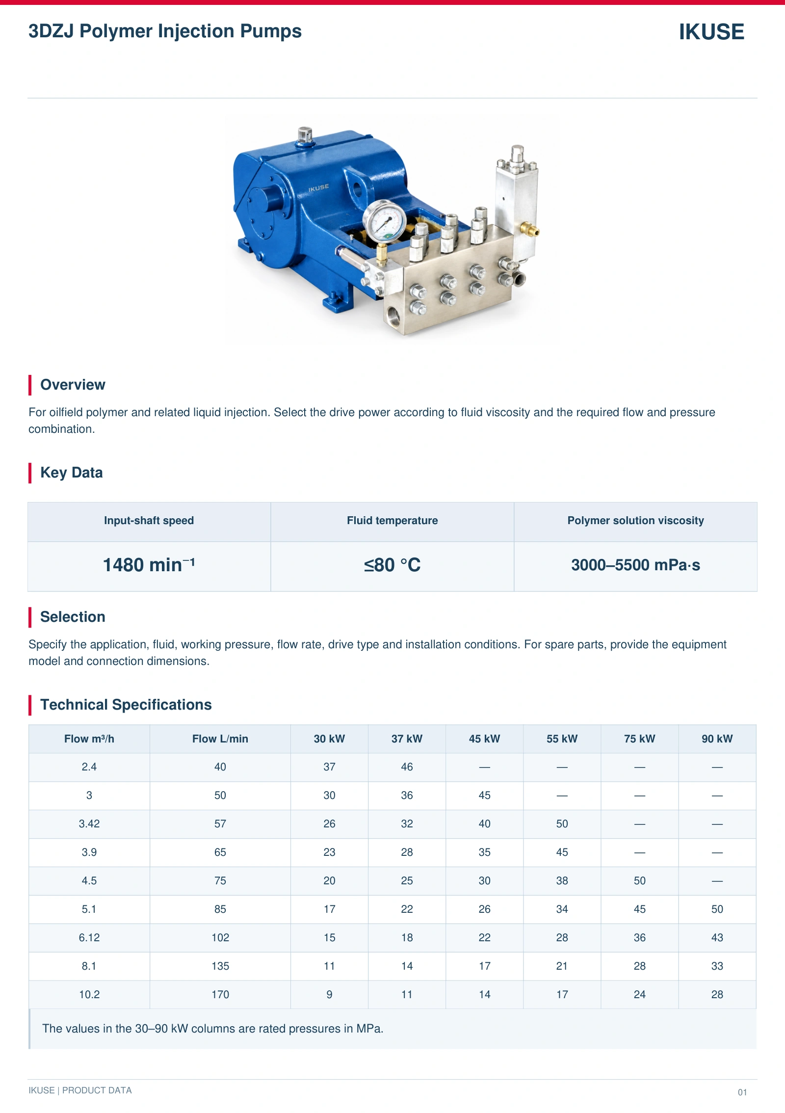 IKUSE 3DZJ Polymer Injection Pumps image 2