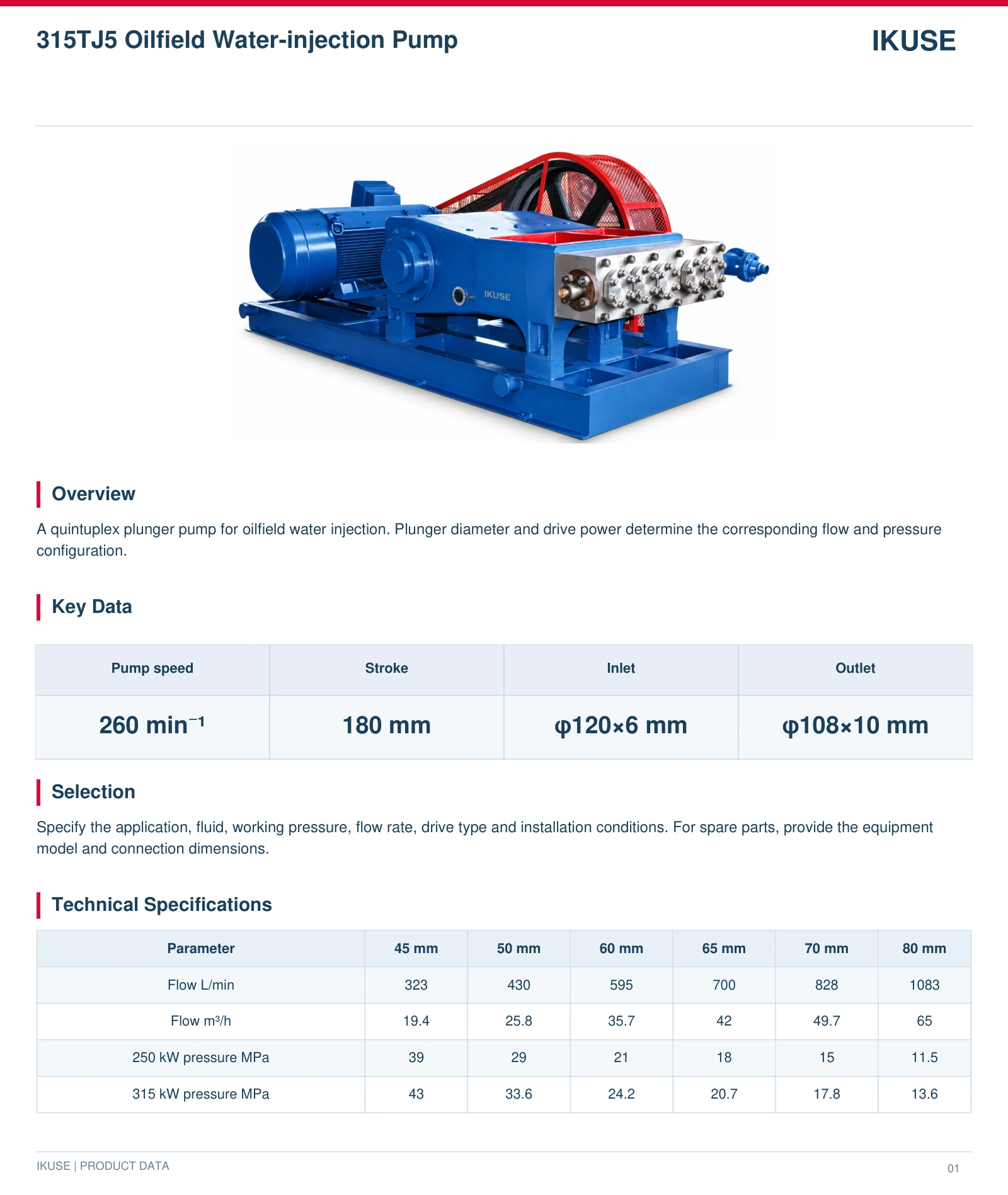 IKUSE 315TJ5 Oilfield Water-injection Pump image 2