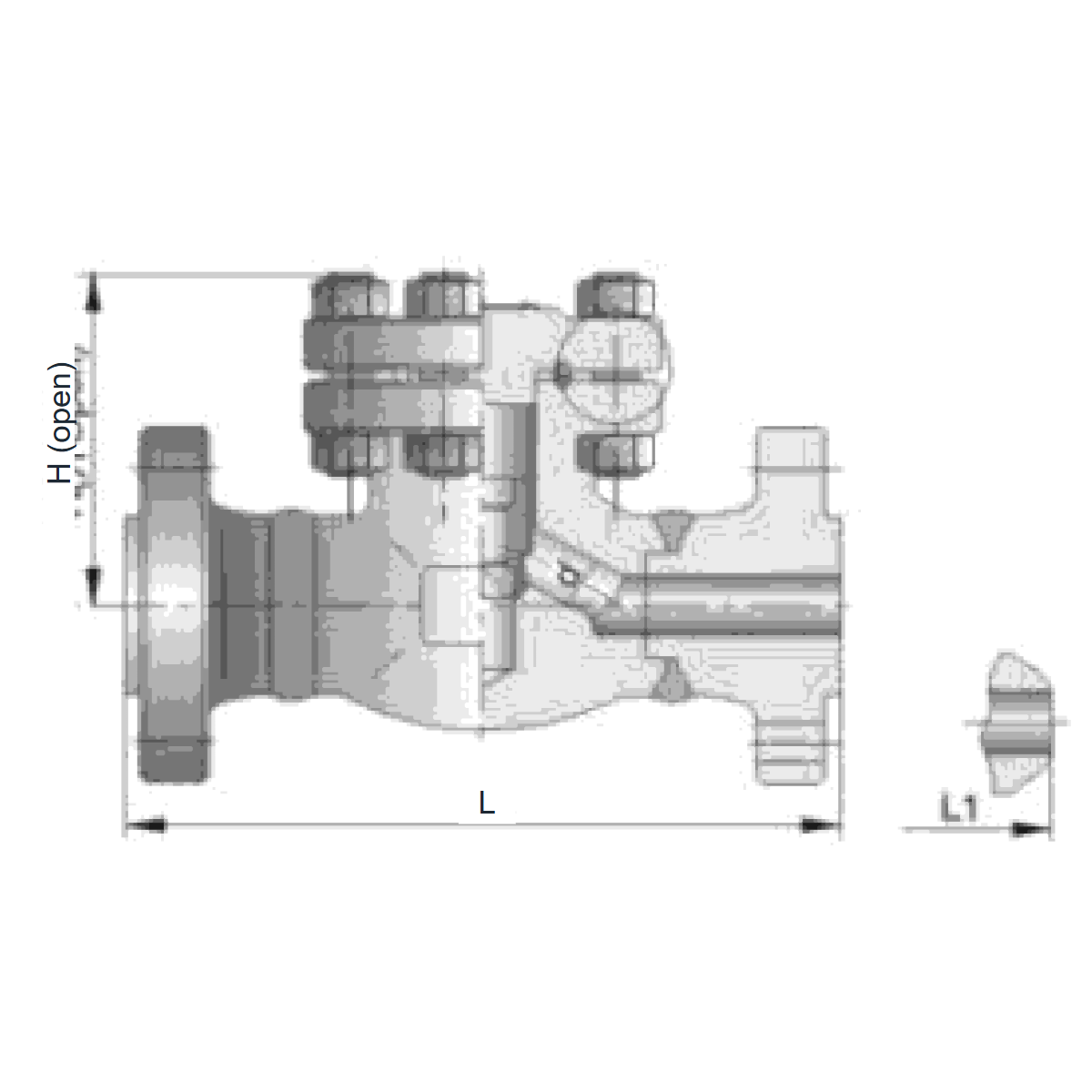 IKUSE High-pressure Flanged / Butt-weld Forged Check Valve