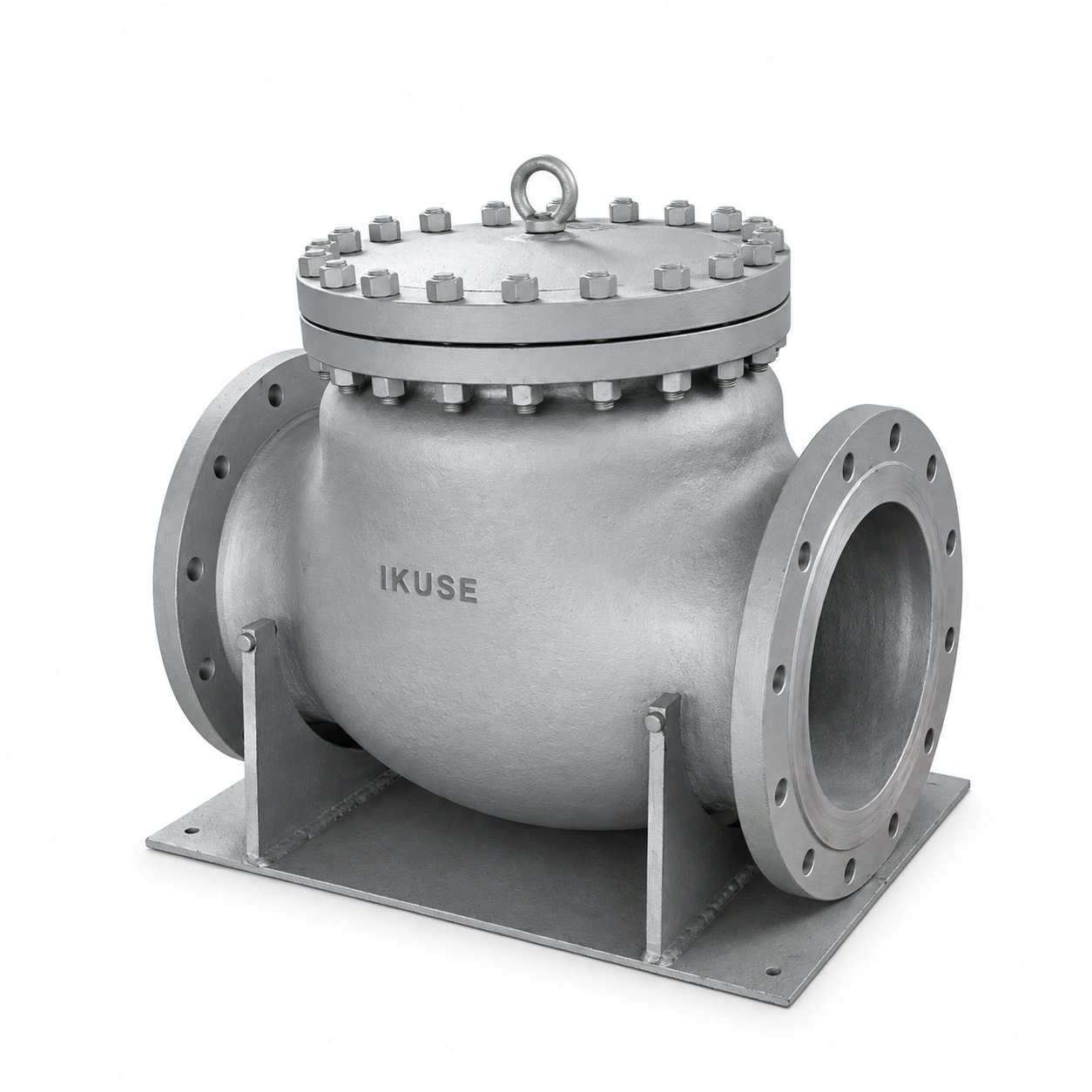 IKUSE Flanged Swing Check Valve · PN16–100
