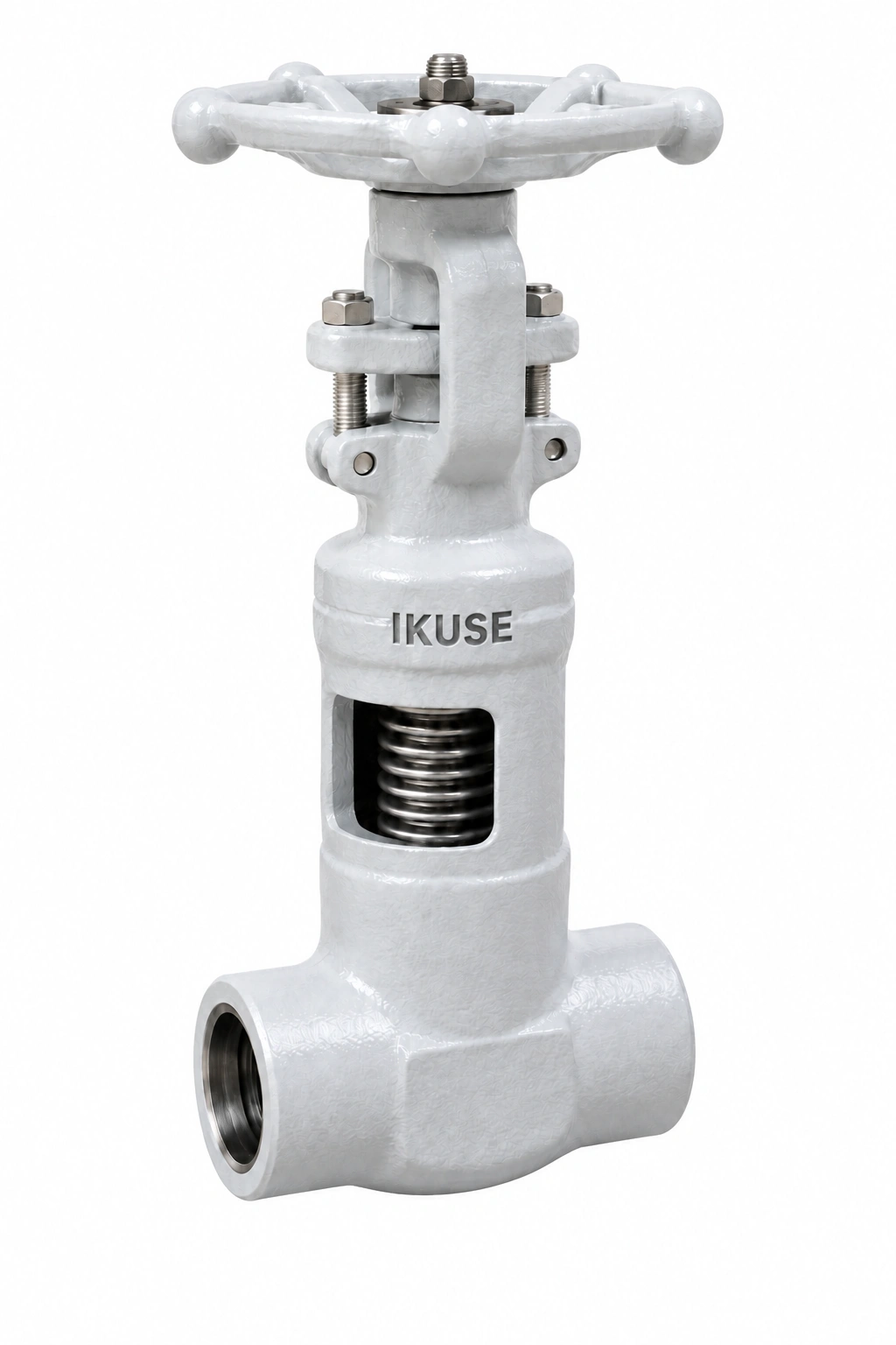 IKUSE Forged Steel Bellows-sealed Gate Valve