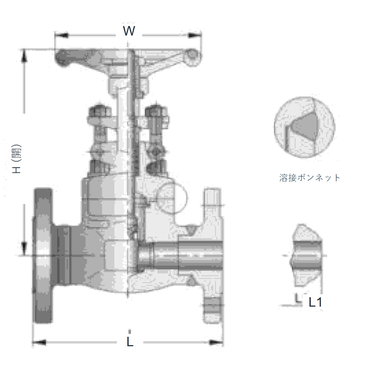 IKUSE フランジ形 / 突合せ溶接鍛造ゲートバルブ · Class150–600