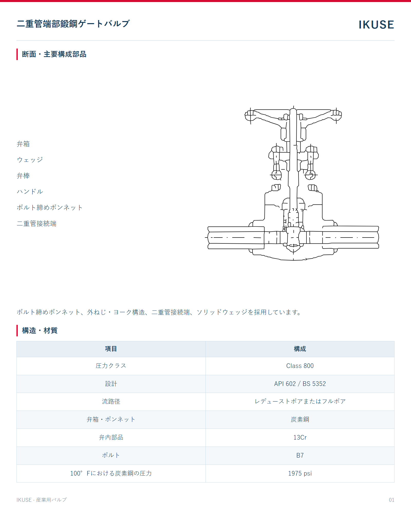 IKUSE 二重管端部鍛鋼ゲートバルブ画像2