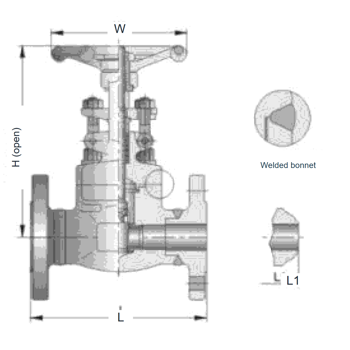 IKUSE Flanged / Butt-weld Forged Gate Valve · Class150–600