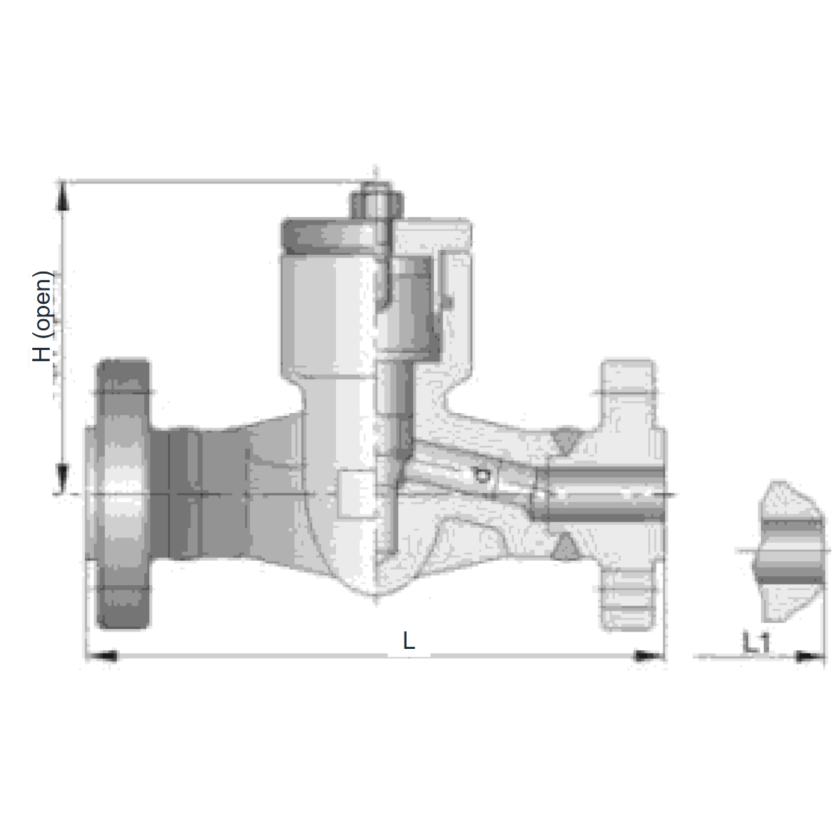 IKUSE Flanged / Butt-weld Pressure-seal Forged Check Valve
