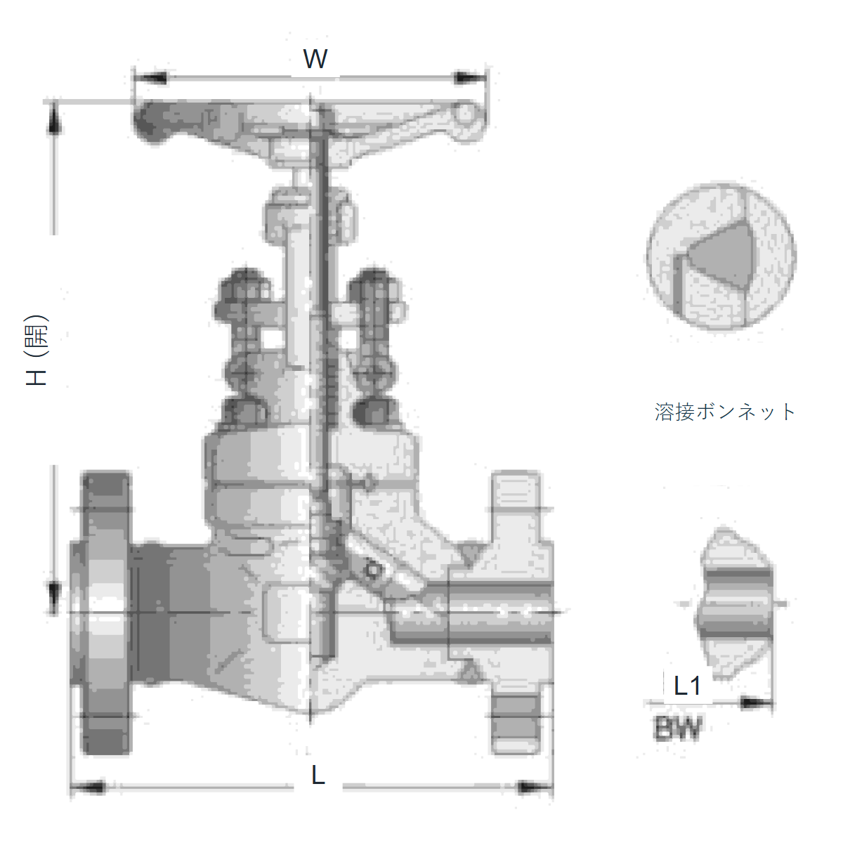 IKUSE フランジ形 / 突合せ溶接鍛造グローブバルブ · Class900–1500